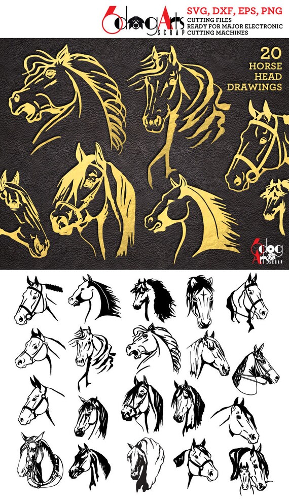 Horse Head Drawings Digital Cut Files Svg Dxf Eps Png Etsy