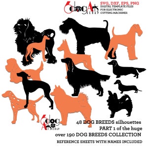 48 x Silhouettes de race de chien fichiers numériques vectoriels Svg Dxf Eps Png Silhouette Cricut imprimable Téléchargement instantané papier vinyle découpe JB-244b