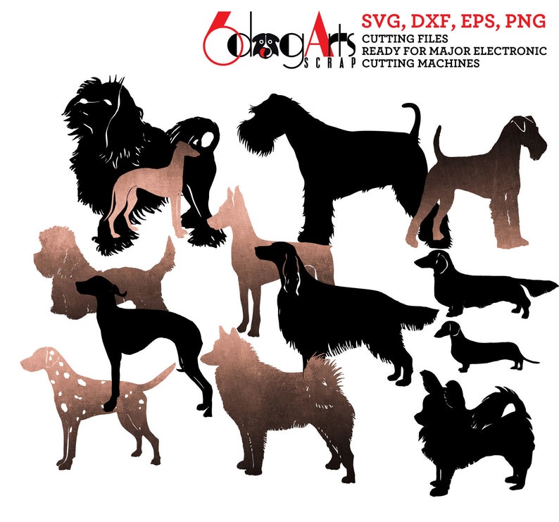 Download Dog Breed Silhouettes Vector Digital Cut Files Svg Dxf Eps Png | Etsy