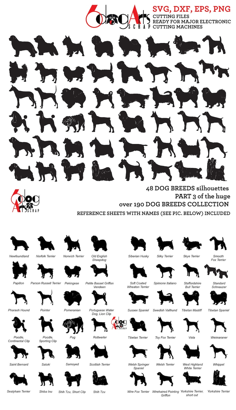 Dog Breed Silhouettes Vector Digital Files Svg Dxf Eps Png Silhouette SCAL Cricut Printable Download Paper Vinyl Cutting JB-244c image 1