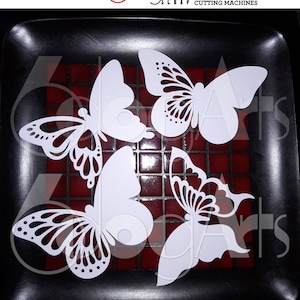 May include: Four white paper butterfly cutouts on a black plate with a red and white checkered pattern. The butterflies have intricate designs and are ready to be used for crafting projects.