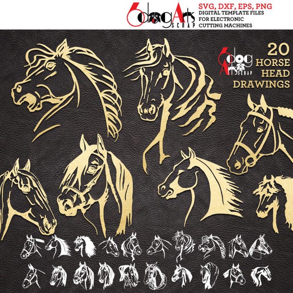 Horse Head Drawings Digital Files Svg Dxf Eps Png Silhouette SCAL Cricut Vector Printable Download DIY Paper, Vinyl Cutting JB-824