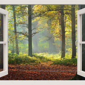 Forest Wall Decal, Autumn Wall Decal, 3d Window Wall Decal, Trees Wall Decal, Window View Sticker, Window Frame, Window View Wall Mural
