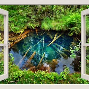 Trees inside a Swamp Wall Decal, Lake Wall Sticker, 3d Window View Nature Wall Decal, Trees Wall Sticker, Forest Mural, Home Wall Decor