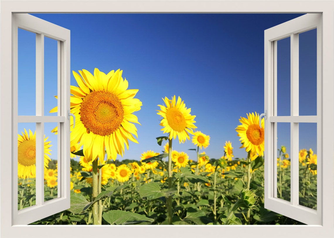 Sun Flowers Wall Decal, 3d Window Wall Decal, Sun Flowers Field View