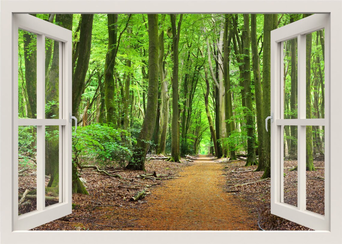 Path to the Forest Wall Decal, Forest Wall Sticker, 3d Window View Nature Wall Decal, Forest