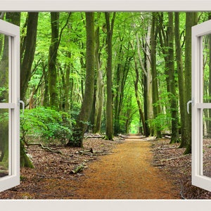 Path to the Forest Wall Decal, Forest Wall Sticker, 3d Window View Nature Wall Decal, Forest Wall Mural, Home Decor Living Room Wall Sticker