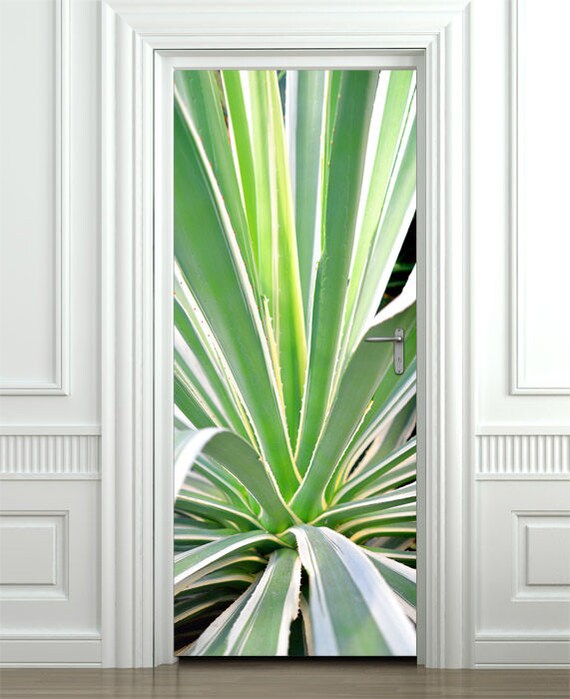 terra naturi aloe vera 24h feuchtigkeitscreme Aloe Vera 24h Creme