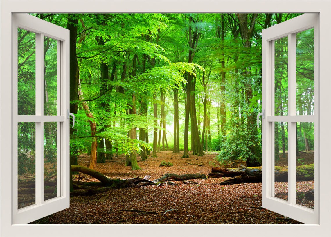Green Forest Wall Decal, 3d Window Frame Wall Decal, Trees Nature Wall Decal, Window View Wall