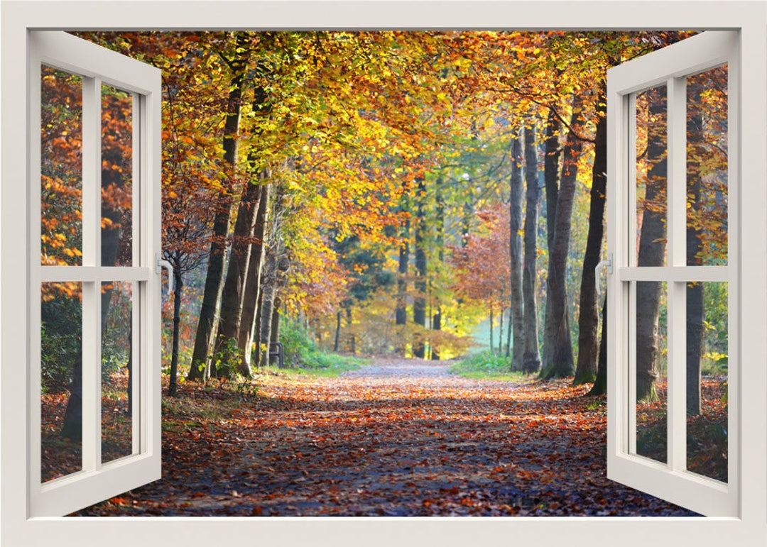 Autumn Trees 3d Window Wall Decal, Forest Wall Decal, Autumn Wall Mural, Trees Wall Decal