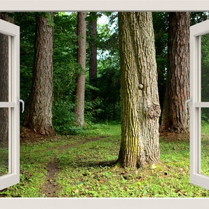 Huge Trees in the Forest Wall Decal, Forest Wall Sticker, 3d Window View Wall Decal, Nature Forest Wall Mural, Home Decor Living Room
