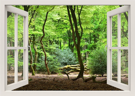 Jungle Trees Wall Decal Forest Sticker 3d Window View - Forest Wall Mural Stickers