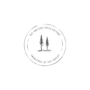 Strutture di alberi design logo - Fiologo disegnato a mano prefatto - Logo di alberi di pino - Logo degli alberi - Logo della foresta - Logo della natura - Design rustico logo