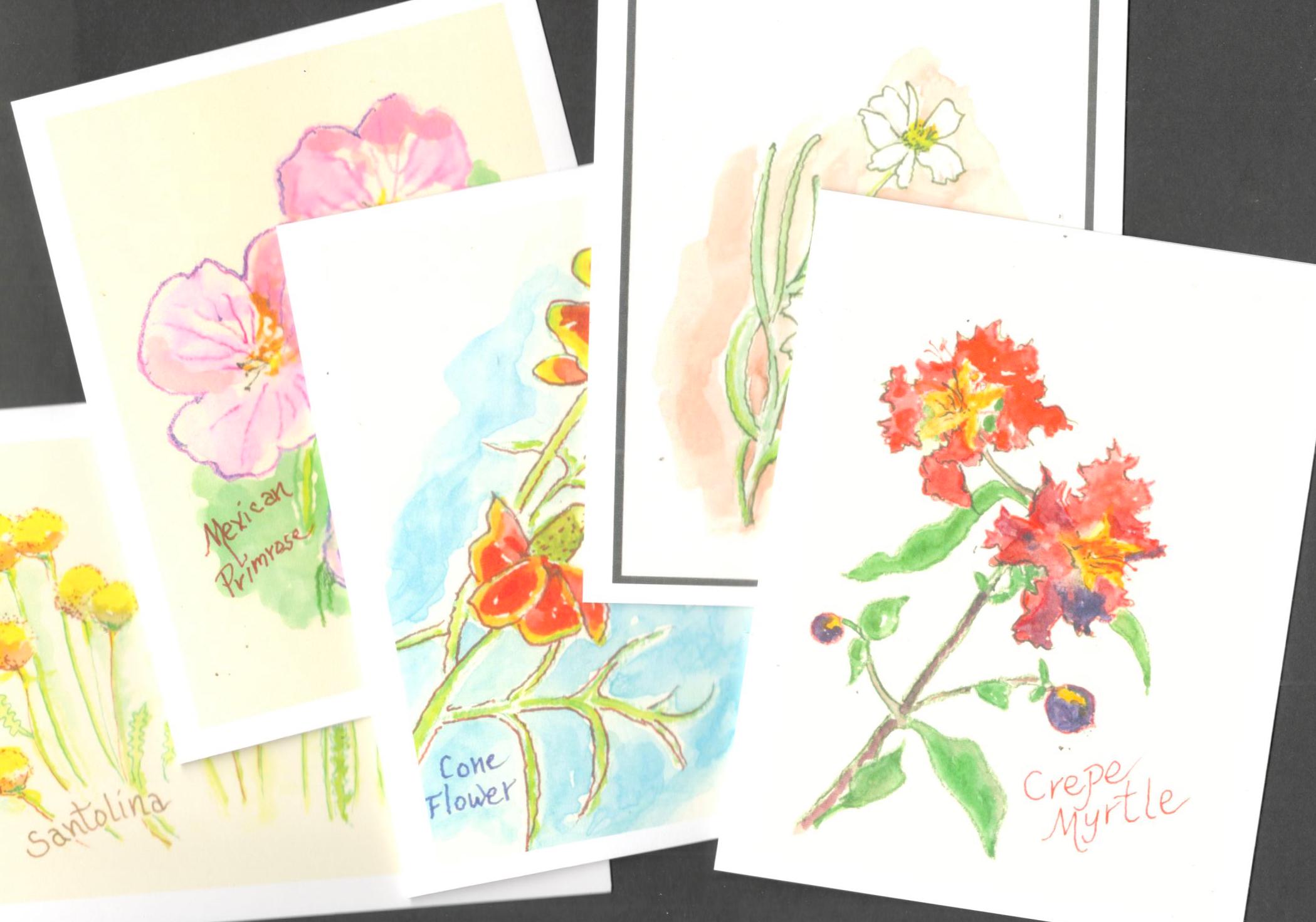 Garden Flower Notes, Box of 6 Printed Cards, Karlene Voepel