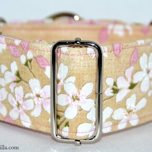 Puede incluir: Un collar de perro beige con un estampado floral rosa y herrajes plateados. El collar tiene un cierre de hebilla y está hecho de tela.