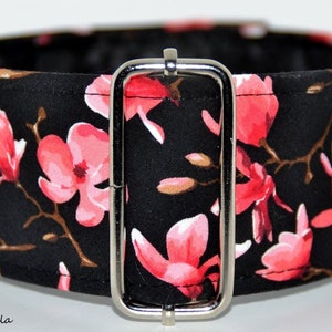Martingale collar, Galgos Greyhound Dogs, Adjustable Anti-escape, Cotton, Black, Pink Flowers, Spring, Cherry Blossom,