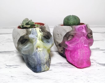 Skull succulent and cactus planter plant pot, resin and concrete Halloween home decor