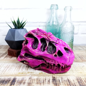 T-rex dinosaur fossil head sculpture. Dino ornament gothic animal skull decor. Tyrannosaurus Rex skeleton art