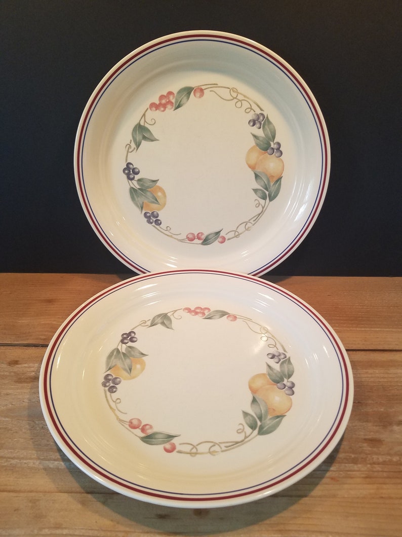 Vintage Corelle Abundance Dinnerware 20 Piece Set Service Etsy