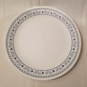 Set of 2 Vintage Corelle Blueberry Dinner Plates ~ Discontinued Corelle USA ~ Discounted for condition