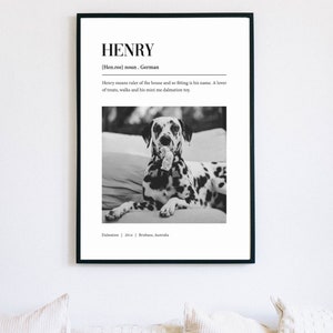 Custom Pet Definition Print, Pet Definition Poster, Personalised Pet Poster, Vogue, Pet Definition, Custom Pet Portrait, DIGITAL DOWNLOAD