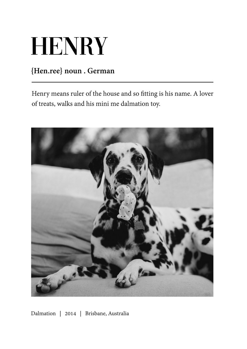 Custom Pet Definition Print, Pet Definition Poster, Personalised Pet ...