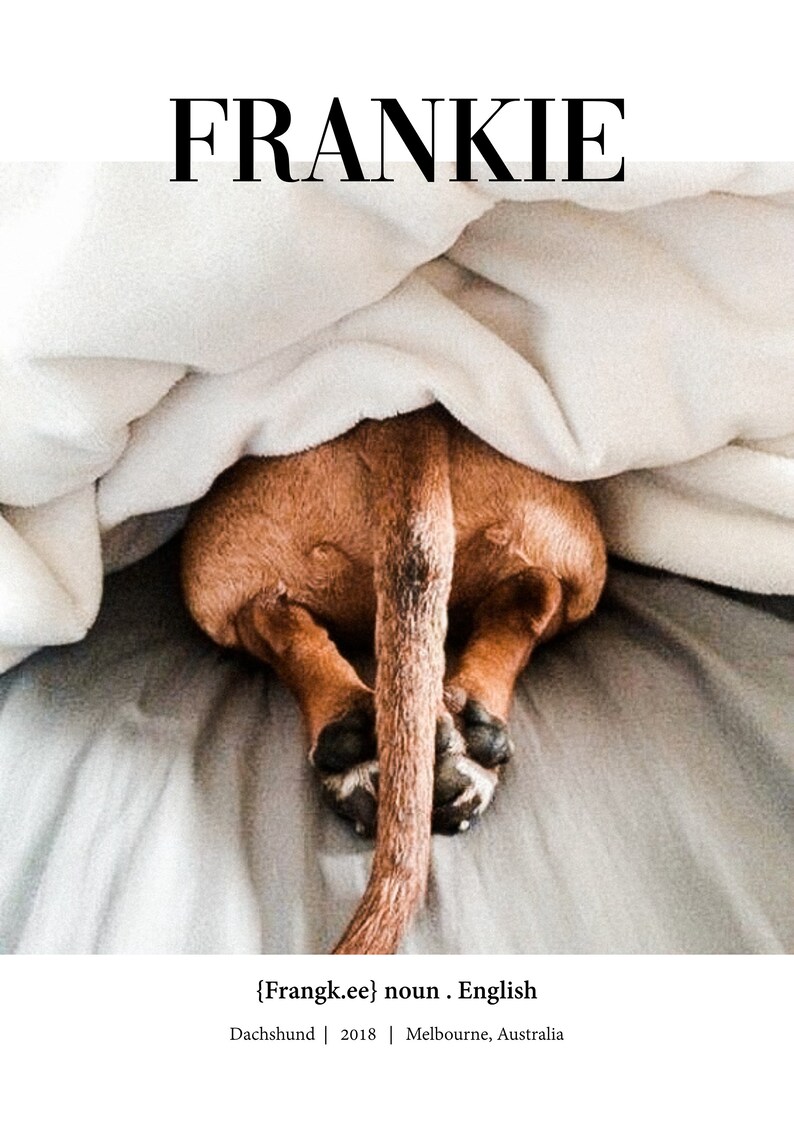 Custom Pet Definition Print, Custom Pet Name Poster, Personalised Pet