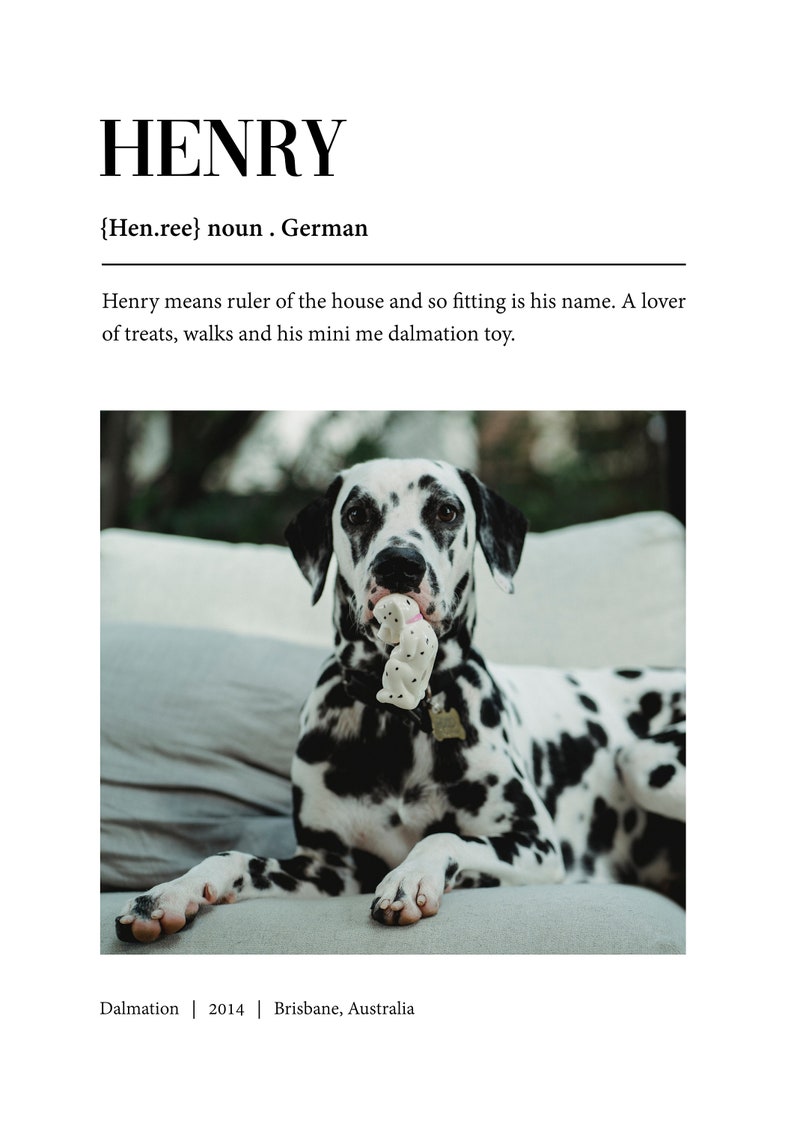 Custom Pet Definition Print Pet Definition Poster Etsy