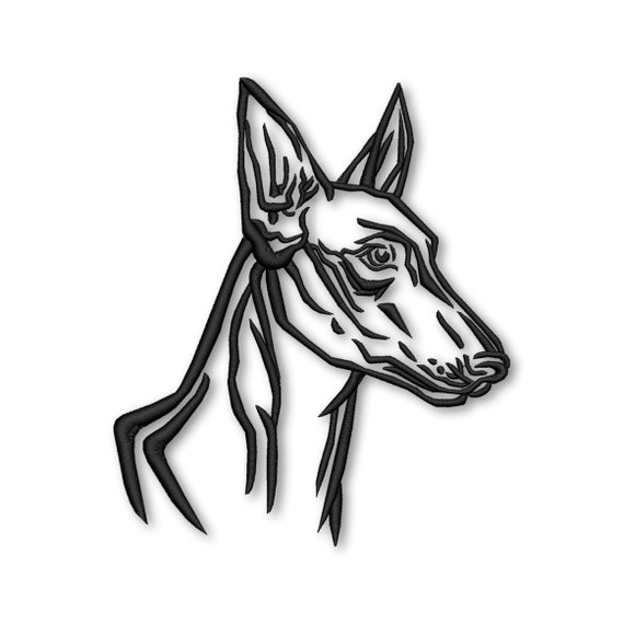 Il_570xn