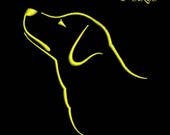 Il_170x135