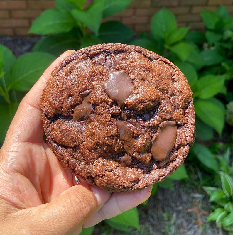 May include: A round, dark brown chocolate cookie with a textured surface and visible chunks of semi-sweet chocolate embedded throughout the dough. The cookie has a baked, slightly uneven edge and a rich, deep cocoa color throughout its circular form.