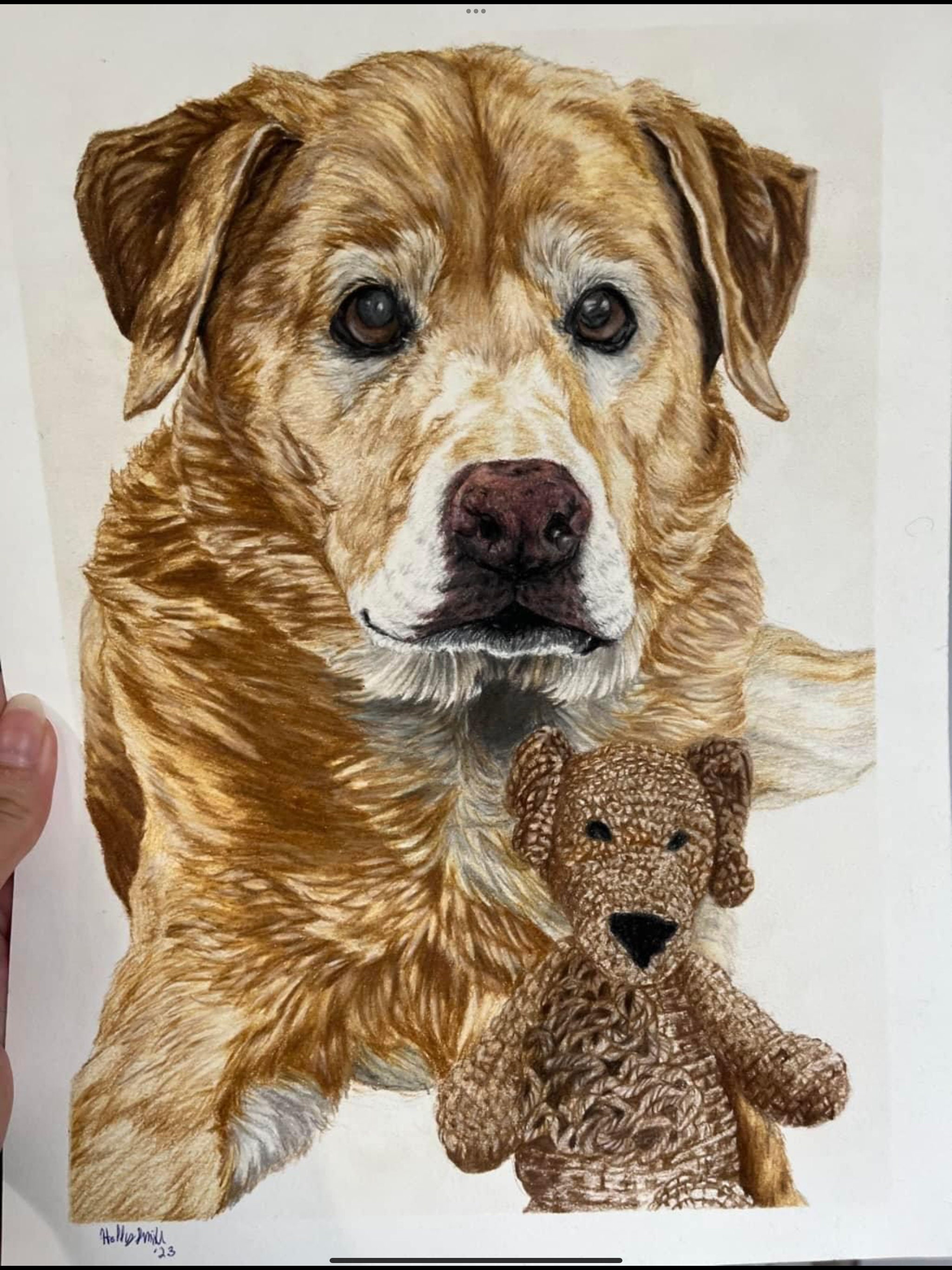 shop cheap prices Your Pet, Safe Keep wildlife and human this portraits  Important ( made to Pets order) Tips 