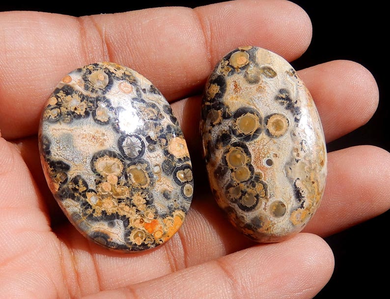 Amazing Quality Natural Leopard Skin Jasper Oval Cabochon 2 Pieces Pair AAA+ Quality Oval Shape 54.55ct Semi Precious Gemstone KJ8