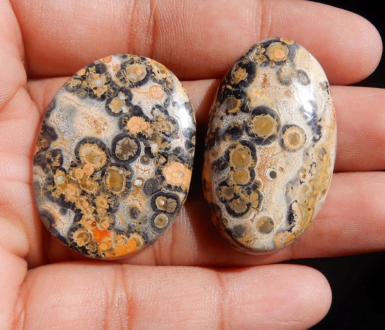 Amazing Quality Natural Leopard Skin Jasper Oval Cabochon 2 Pieces Pair AAA+ Quality Oval Shape 54.55ct Semi Precious Gemstone KJ8