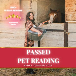 Passed Pet Reading • Animal Communicator • Pet Psychic Reading • Pet Spirit Reading • Connect with Deceased Pet • Pet Grief Medium Reading