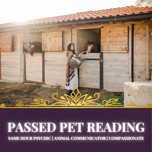 Lectura de mascotas fallecidas, comunicador con animales, lectura a la misma hora, hablar con la mascota, pensamientos de la mascota fallecida, vidente de mascotas, médium psíquico, lectura de tarot