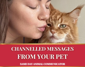 Pet Reading • Pet Channeled Message • Pet Psychic • Animal Communicator • Pet Psychic Reading • What Your Pet Wants to Say • Psychic Reading
