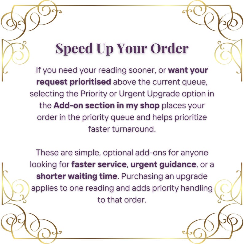 pet tarot reading for animals
