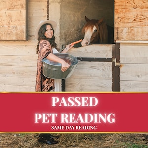 Passed Pet Reading • Pet Psychic Reading • Departed Animal Communicator • Pet Spirit Reading • Connect w/ Deceased Pet • Pet Grief Reading