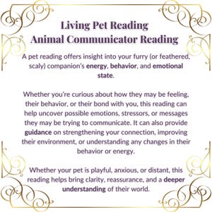 intuitive pet communication reading