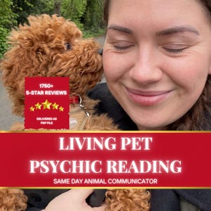 Animal Communicator • Pet Psychic Reading •  Psychic Medium • Pet Behavior Reading • Understand Your Pet • Honest Psychic • Clairvoyant