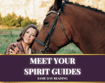 Psychic Reading • Meet Your Spirit Guides Reading • Spiritual Reading • Spirit Messages • Channeled Reading • Fast Tarot Reading