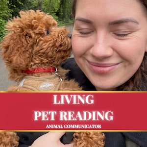 Pet Psychic • Animal Communicator • Pet Reading • Living Pet Communicator • Animal Psychic Reading • Psychic Medium • Pet Behaviour Reading