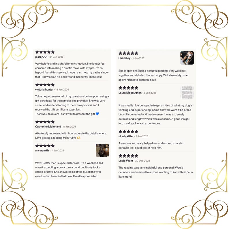animal behavior psychic insight