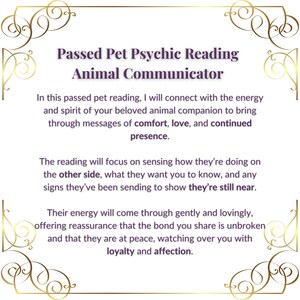 animal communicator