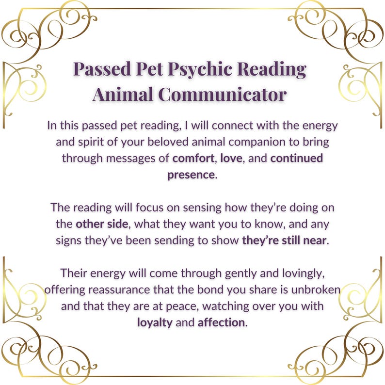 animal communicator
