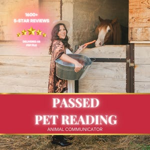 Passed Pet Reading • Pet Psychic • Animal Communicator • Pet Psychic Medium • Pet Spirit Reading • Connect with Deceased Pet • Grief Support