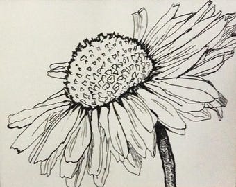 sunflower drawing etsy