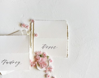 Wedding Place Cards, Calligraphy Place Cards, Place Cards, Modern Place Cards, Wedding Name Cards, Wedding Escort Cards, Place Cards Wedding