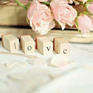 May include: A still life arrangement featuring the word "LOVE" spelled out with wooden letter blocks. Soft pink roses and green stems are arranged above the blocks. The background is a soft, blurred white.